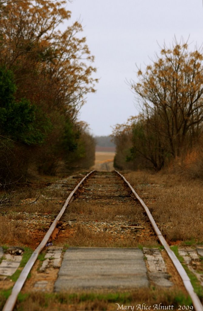 Winters track of solitude