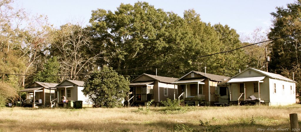The filming location for parts of the 1994 movie, "The War" with Kevin Costner and Elijah Woods.  One of these shotgun houses served as the home of Stephen, Stu, Lois, and Lidia.