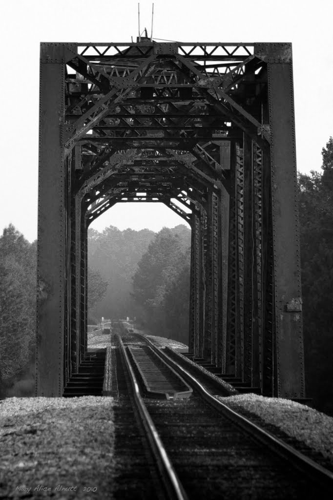 Ocmulgee River Bridge, Lumber City, Georgia. This through-truss SouthernRailway bridge once rotated on its center pier to allow Steamboats to pass.  Southern also maintained wharves on the riverbank to transfer freight to and from the boats.  No trace of 