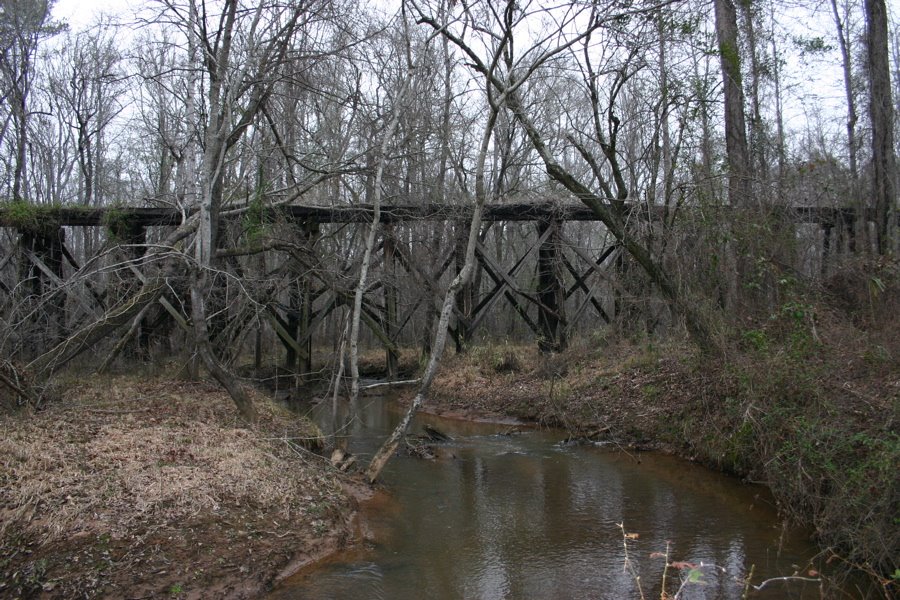 Abandoned old trestle deep in the woods.