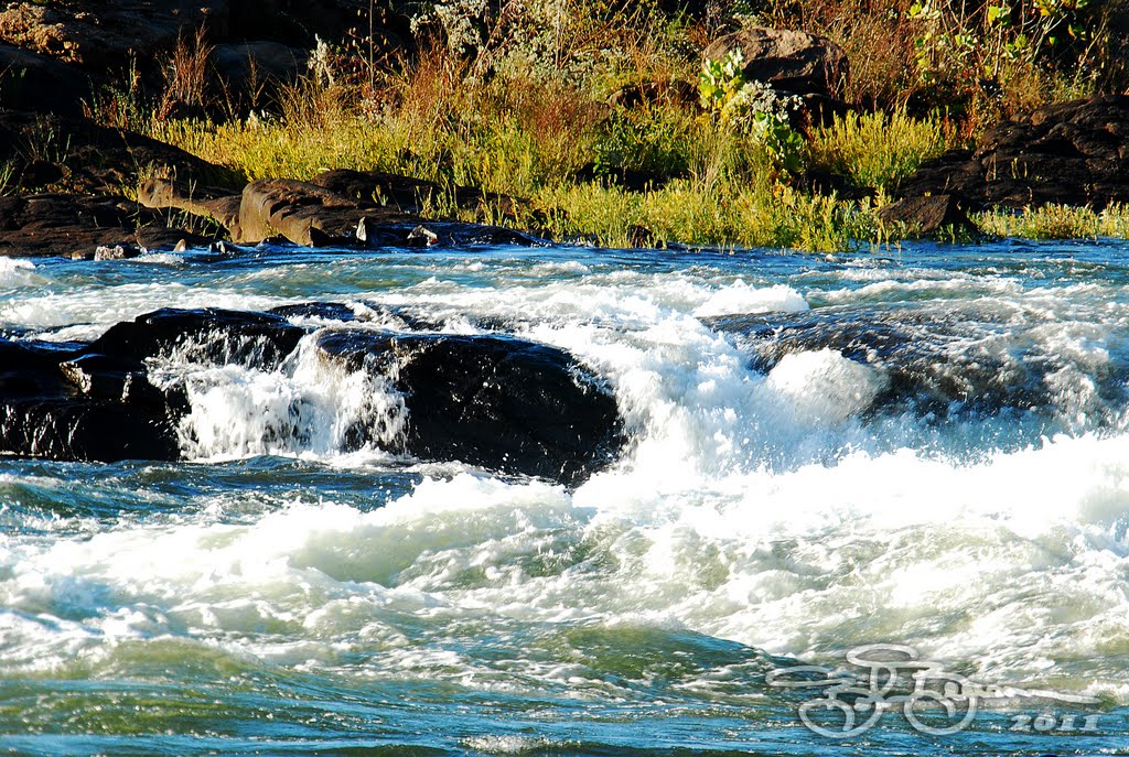 Rapids