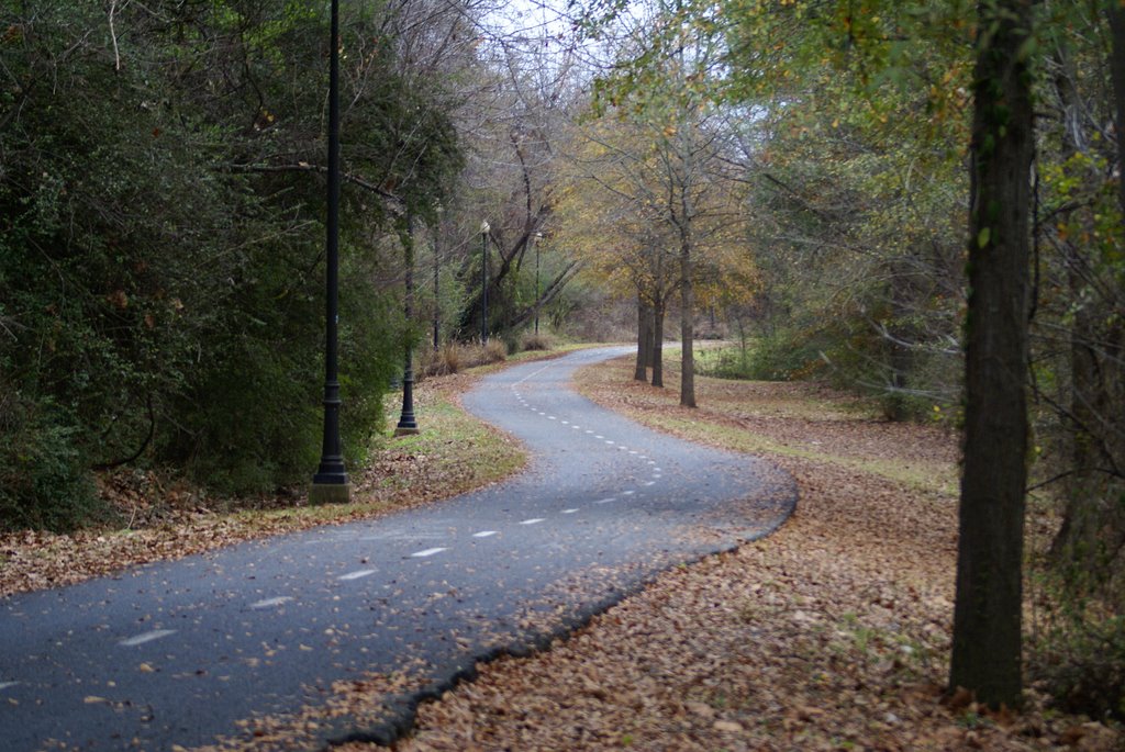 PARQUE