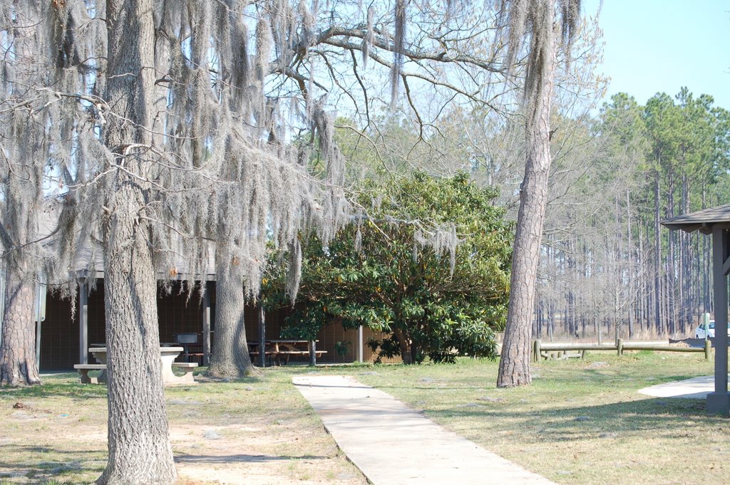 Cordele