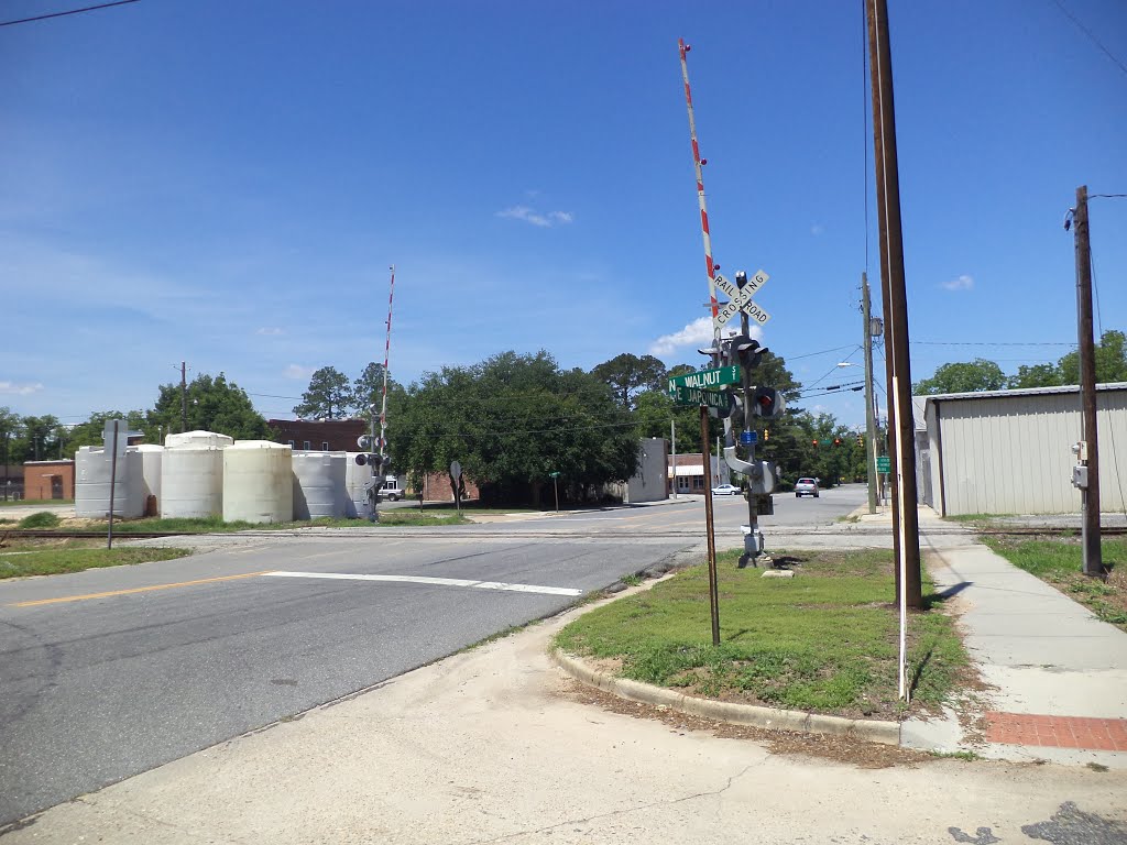 Coolidge RR Crossing Japonica Ave