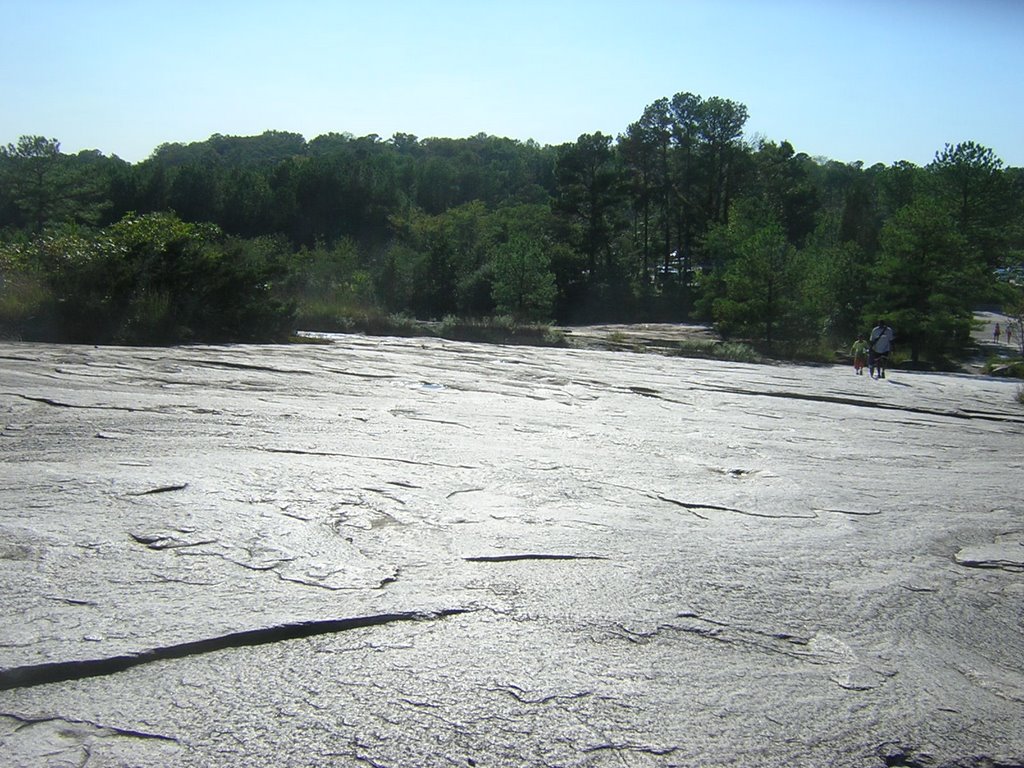Stone Mountain Ground Detail 9-15-2007