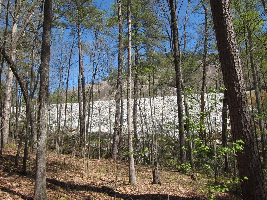 Stone Mountain Park Cherokee Trail