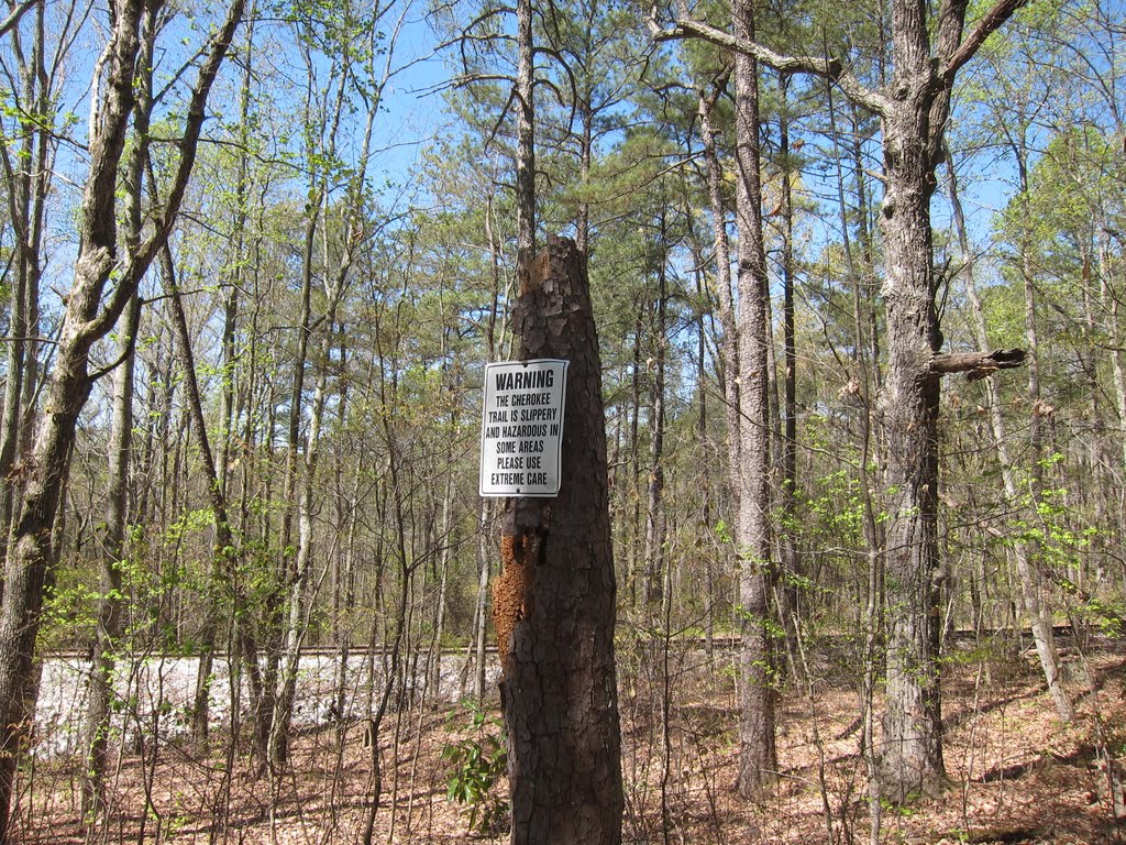 Stone Mountain Park Cherokee Trail