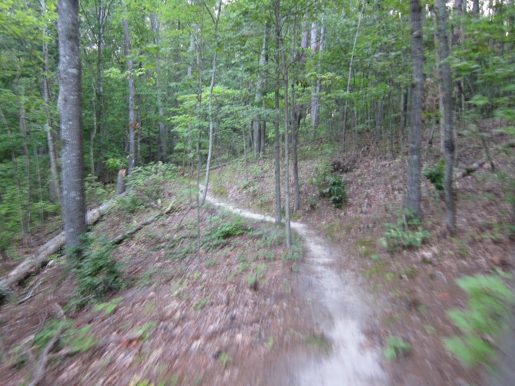 Stone Mountain Park Muscogee Trail