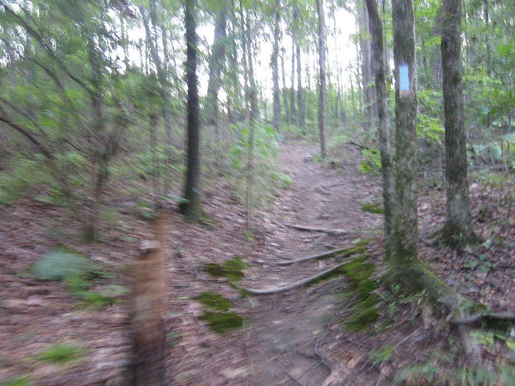 Stone Mountain Park Muscogee Trail