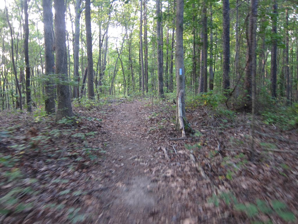 Stone Mountain Park Muscogee Trail