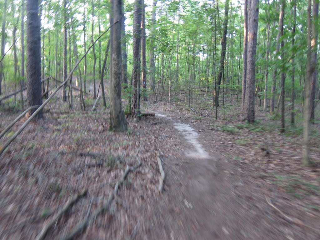 Stone Mountain Park Muscogee Trail
