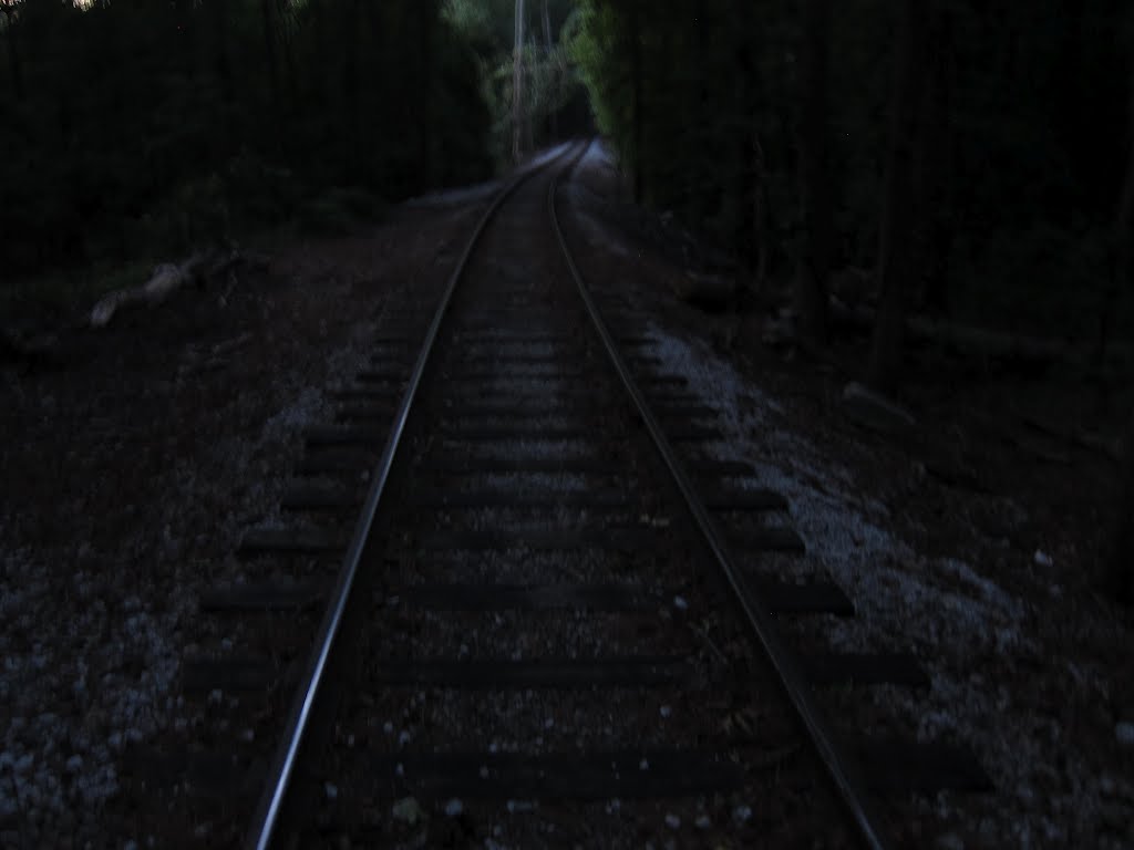 Stone Mountain Park Cherokee Trail at Railroad - Night Hiking