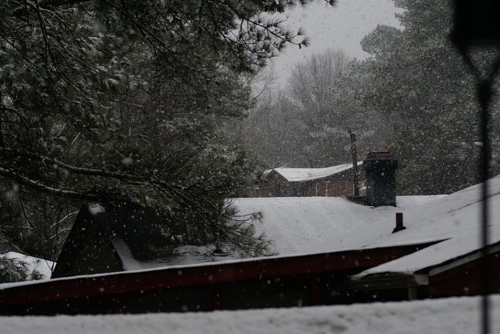 NIEVE