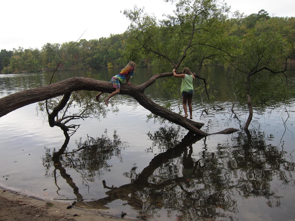 Stone Mountain Park Tree Girls