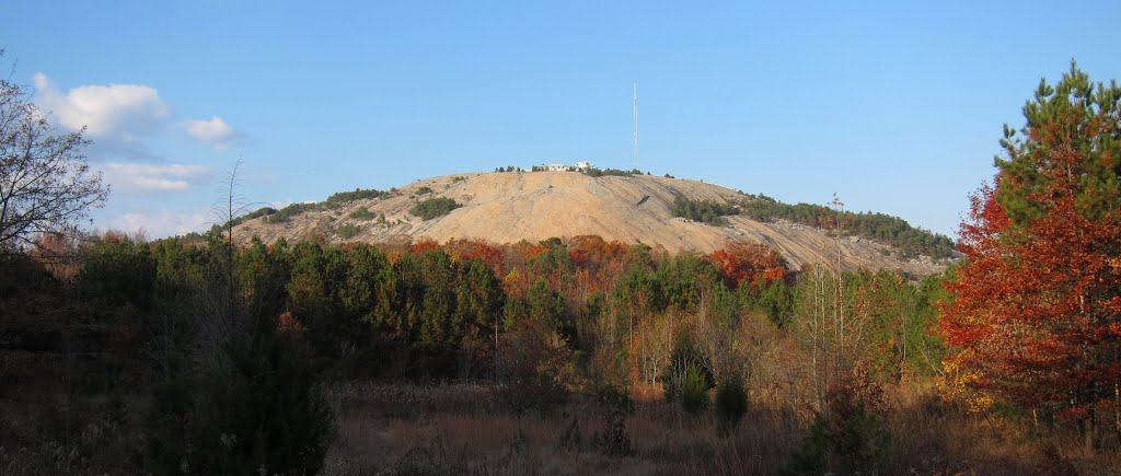 Stone Mountain Park Songbird Habitat