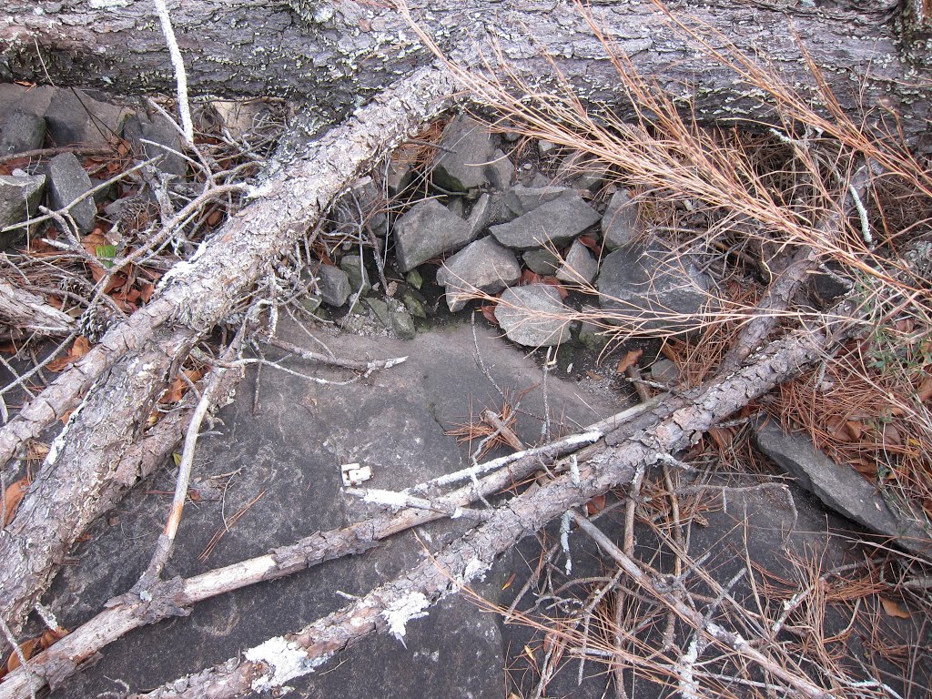 Stone Mountain Park Plane Crash Wreckage
