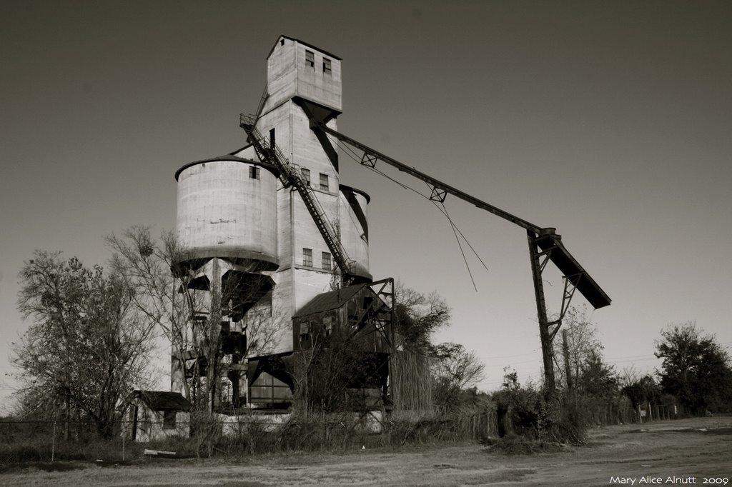 A strangers eyes rest upon this lonely wayside coaling tower.