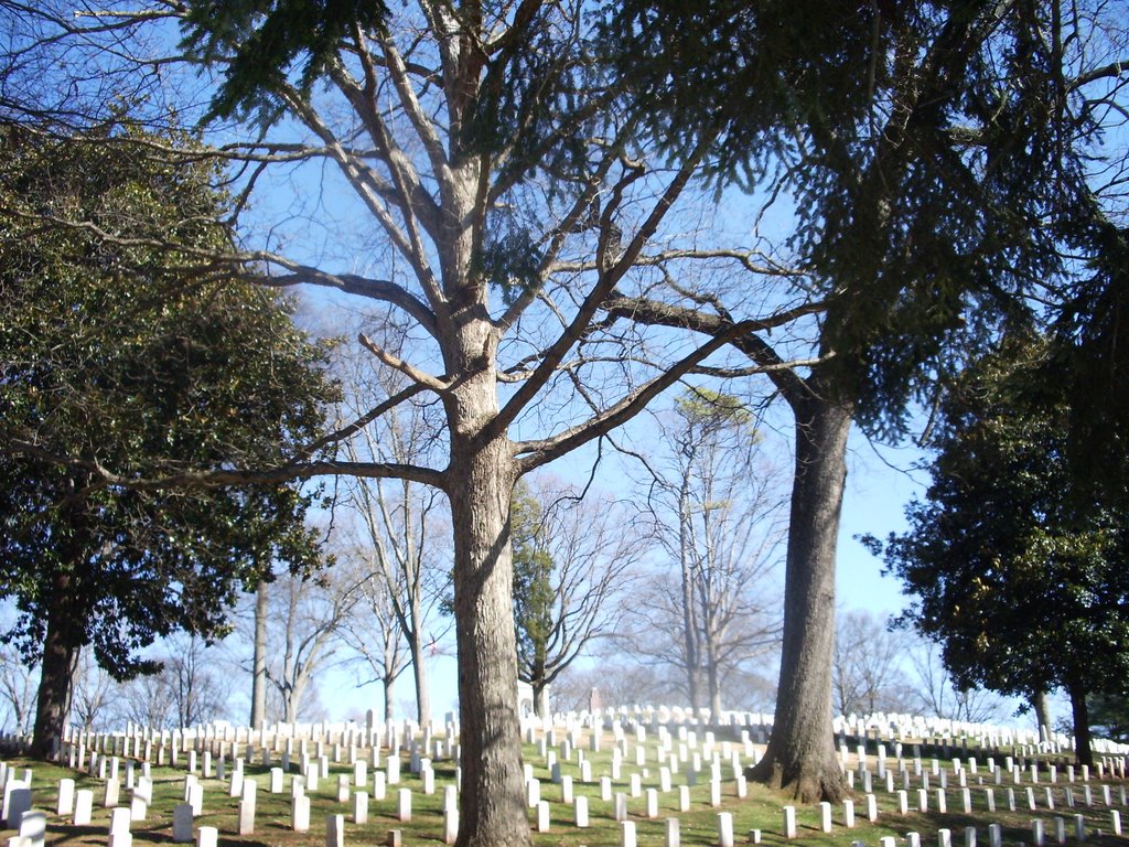 National Cemetery
