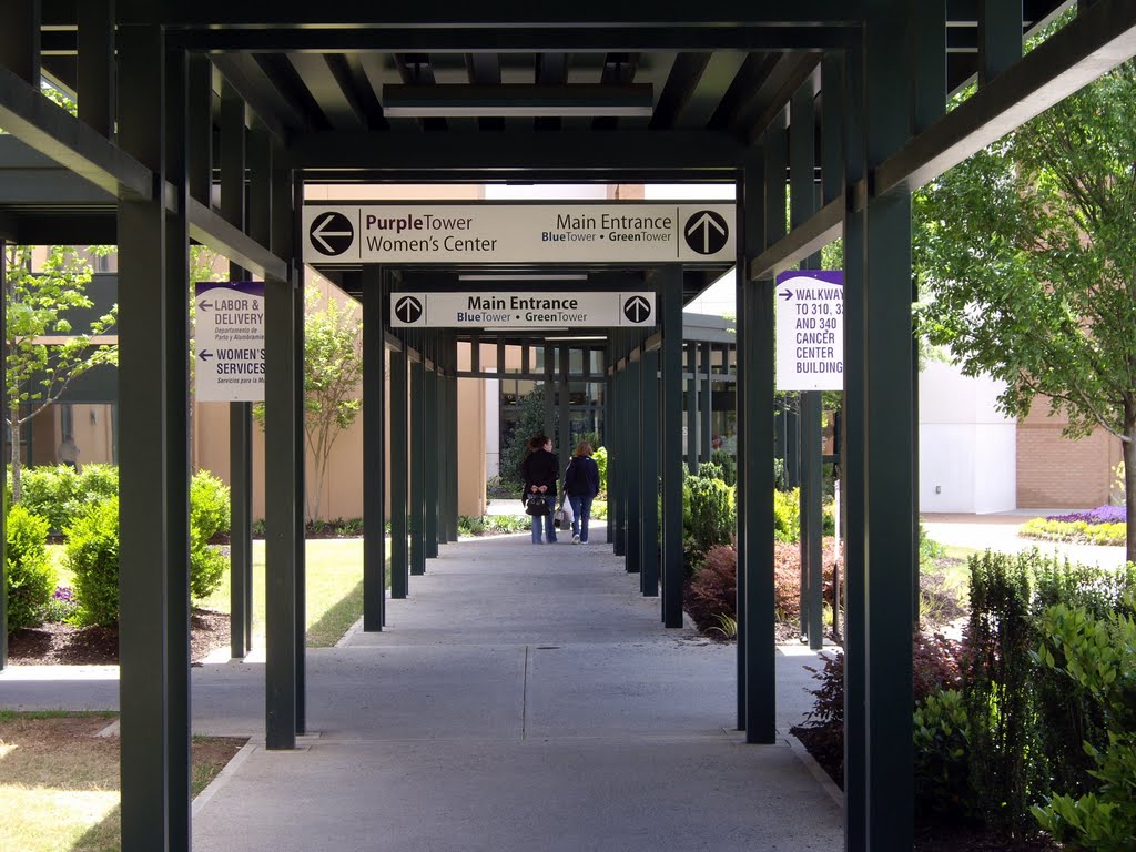 Walkway to the Blue Tower