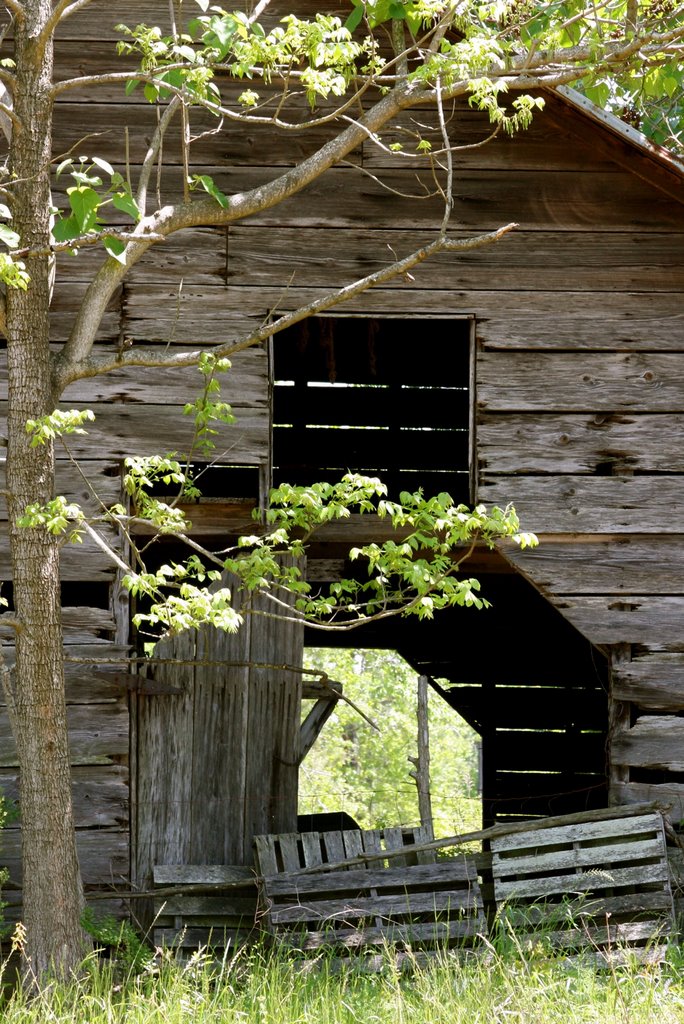 Springtime has a magical way of turning all things new.