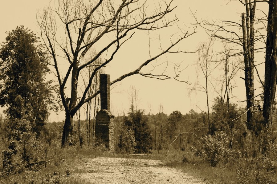 MEMORIES OF LOGTOWN.  The southeastern section of Upson County was one of the first to be settled, and was once one of the wealthiest, most cultural areas in Upson.  Logtown road from the town of Yatesville to Highway 19 near Flint river was the main arte