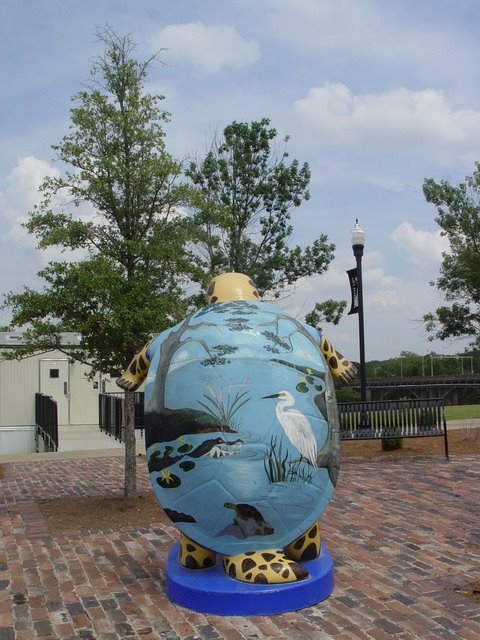 Turtle on Riverfront