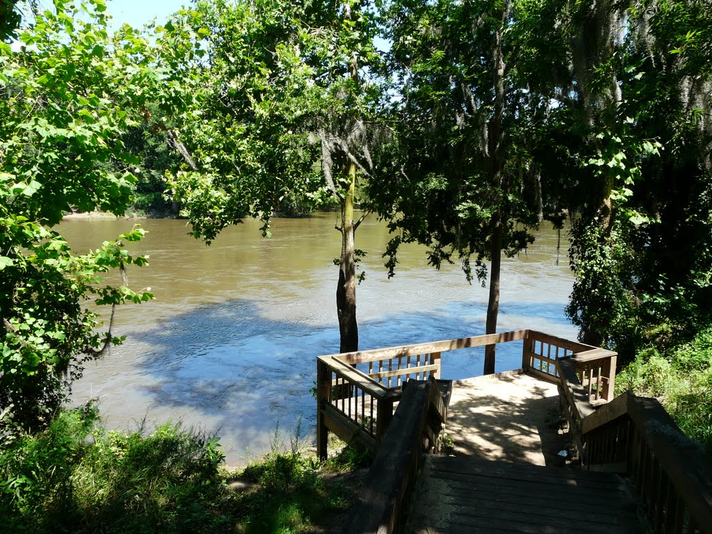 view of Flint River near civic center