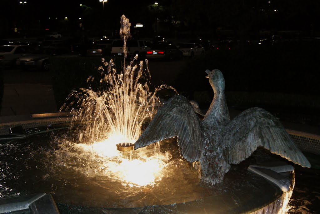 McCormack Fountain At Pheobe Putney Memorial Hospital