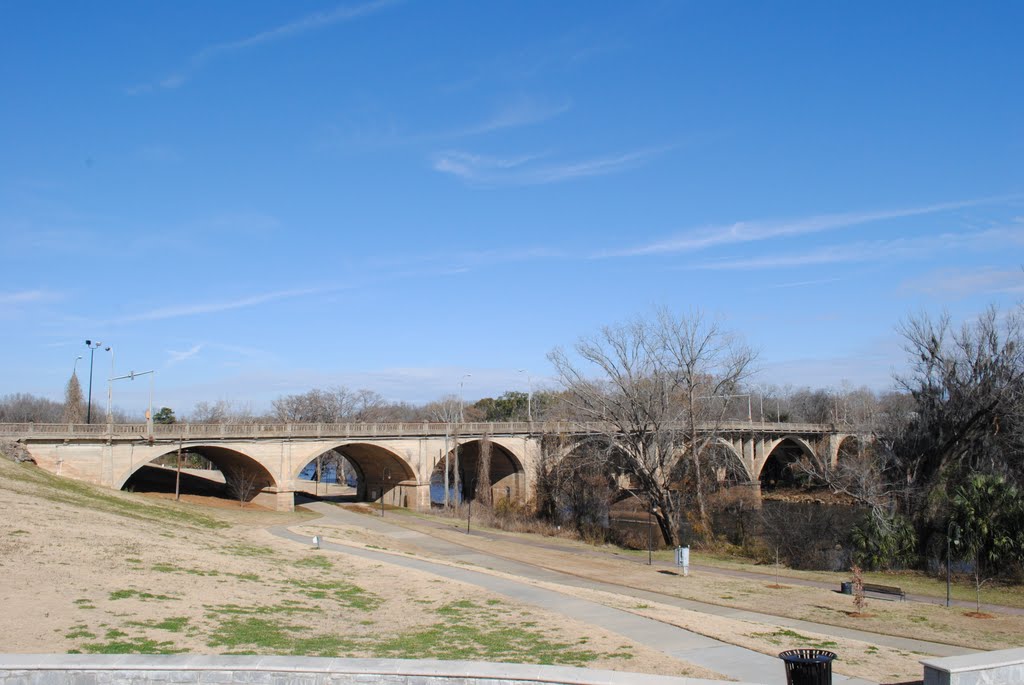 Old bridge over the Flint River