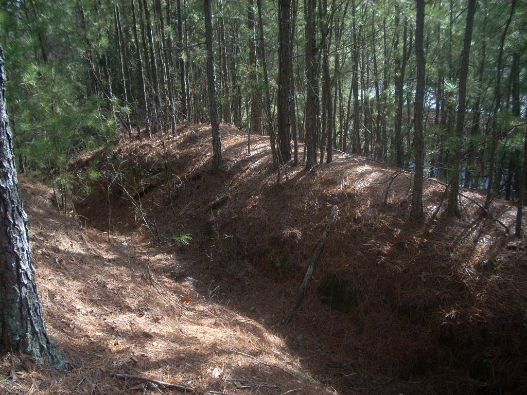 Earthworks of Fort Nelson