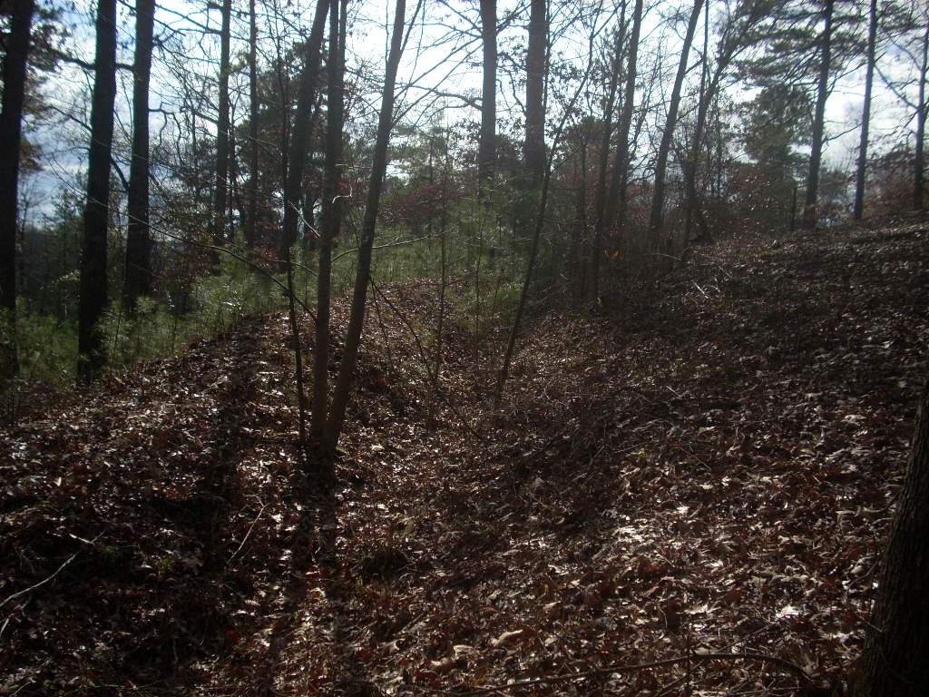 Earthworks of Fort Nelson