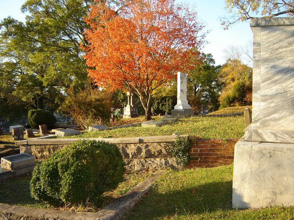 rome historic graveyard