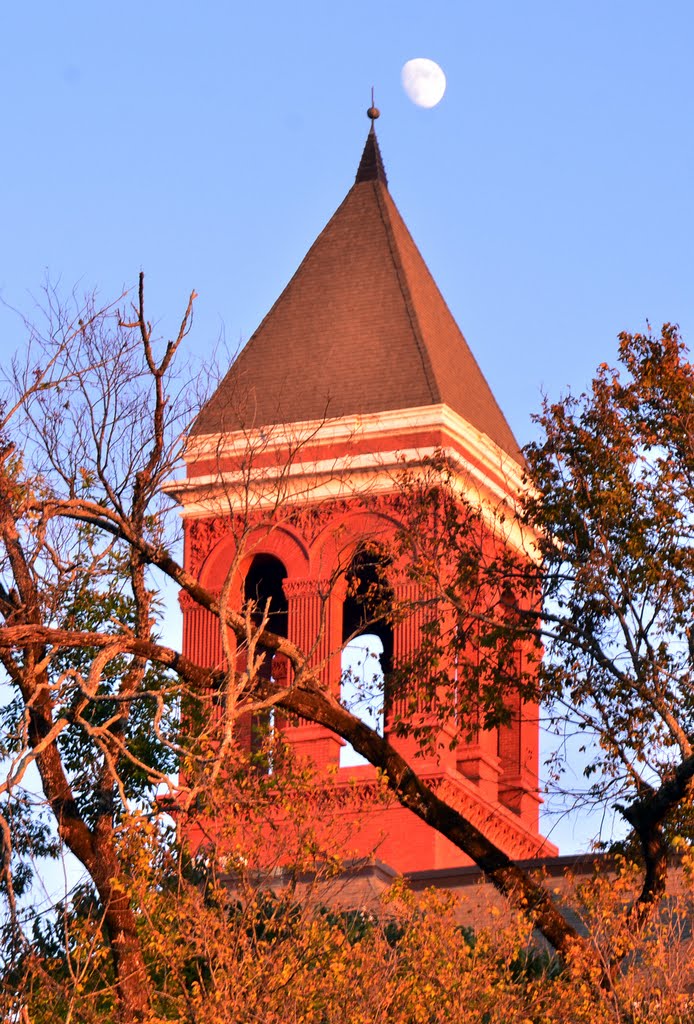 The old court house tower in Rome