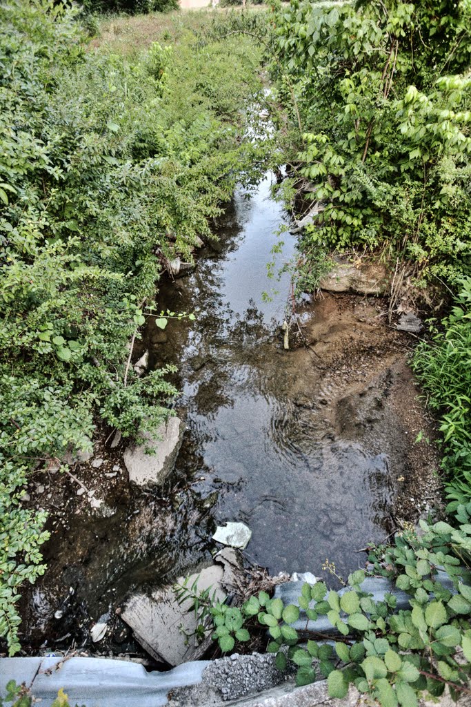 Creek