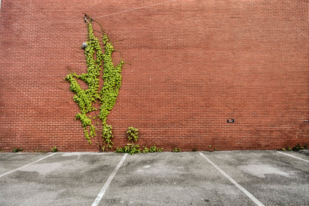 Growth