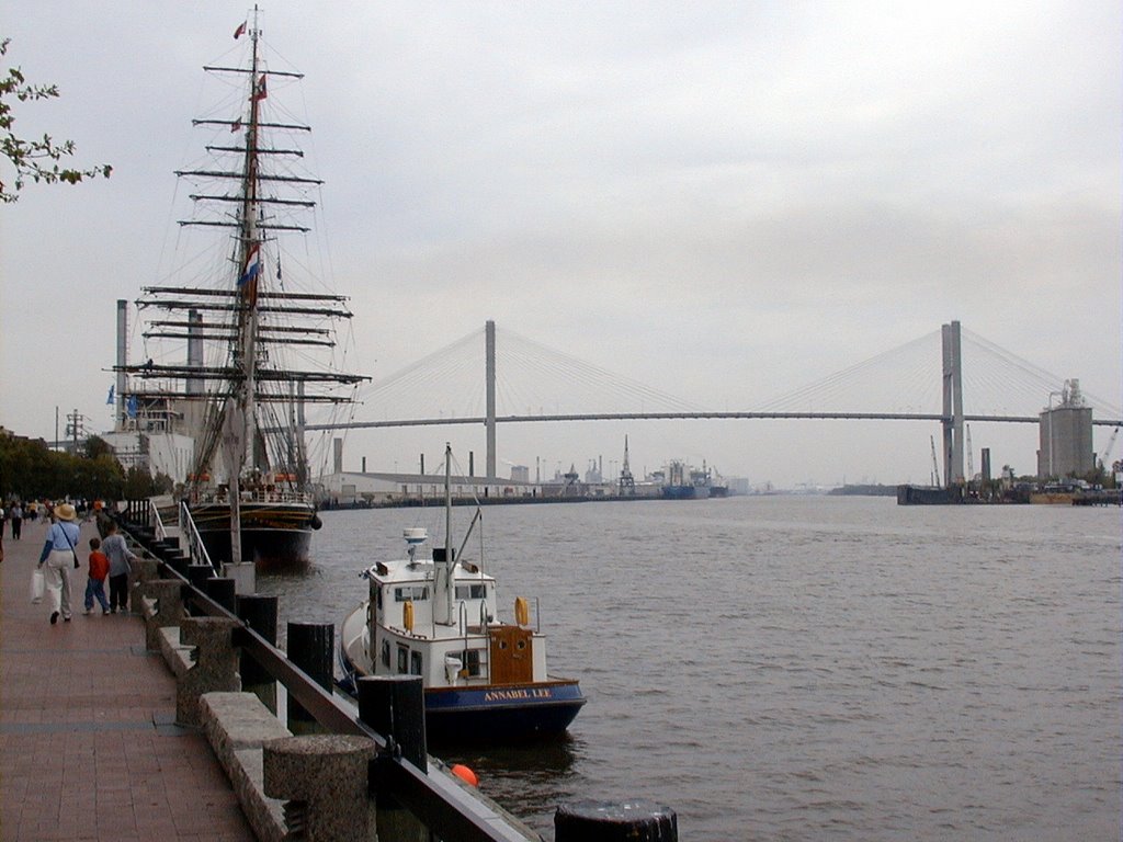 Savannah River Ships
