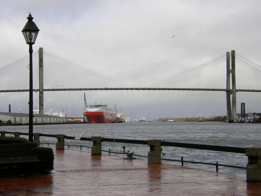 Wet morning at the waterfront