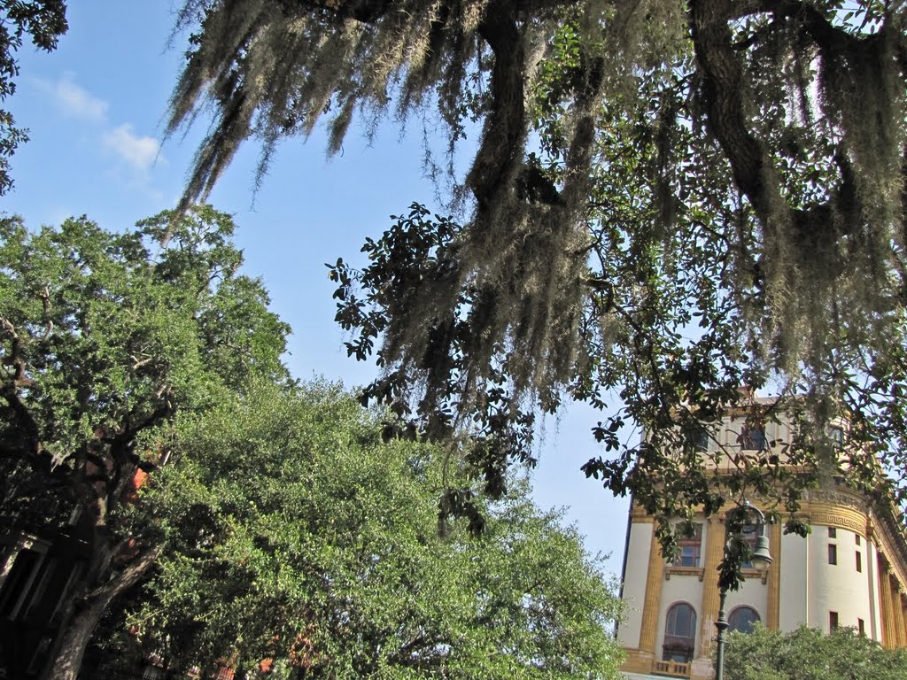 Scottish Rite Freemasonry (Savannah, GA)
