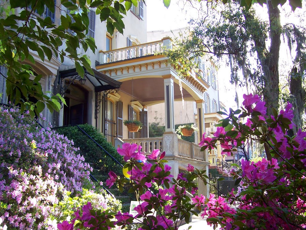 Azalea Extravaganza in Savannah
