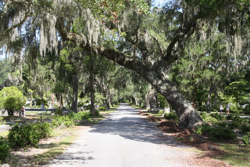 Bonaventure Cemetery