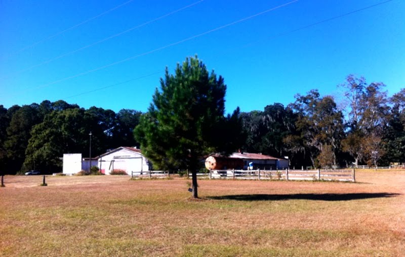 Dairy Farm