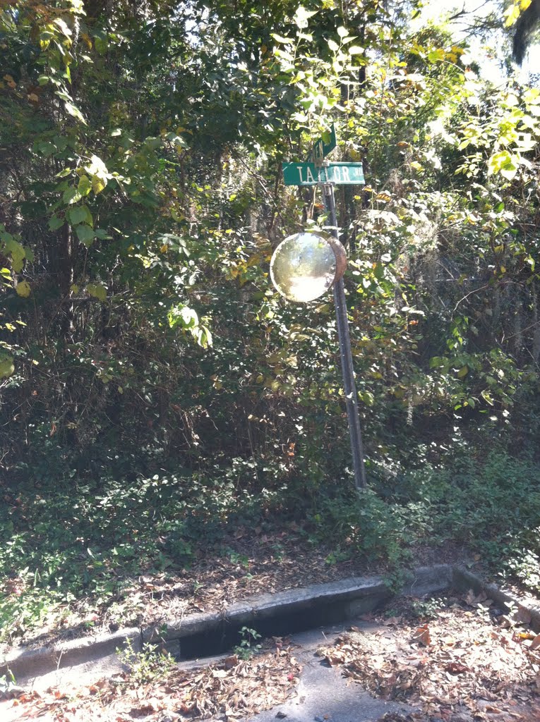 Storm Inlet at Intersection of Taylor Road & Siemken St