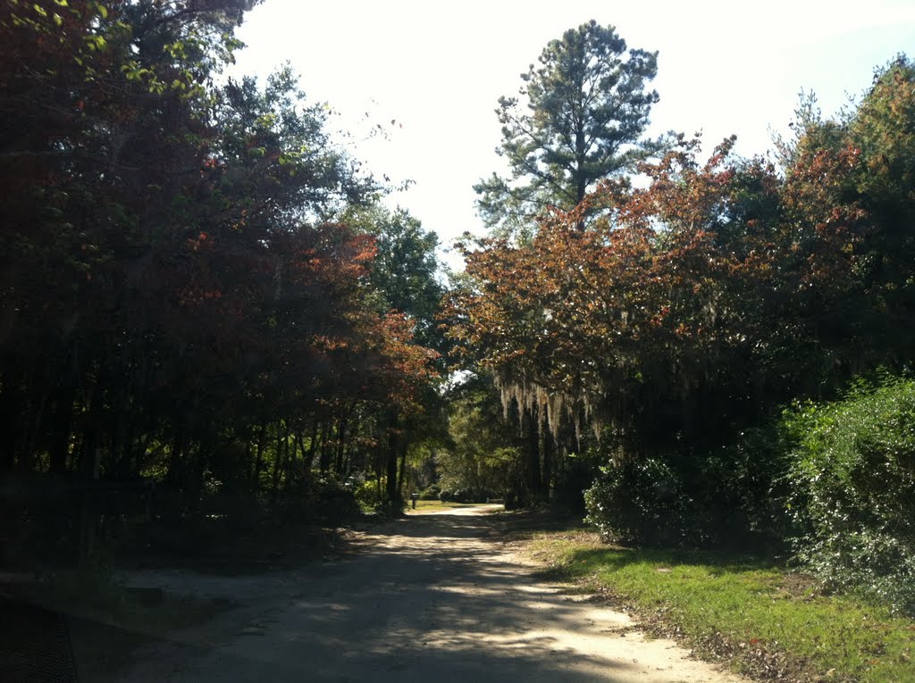 Savannah, United States