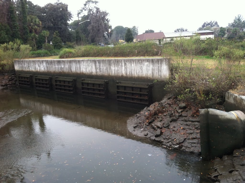 Placenta Canal Tidegate