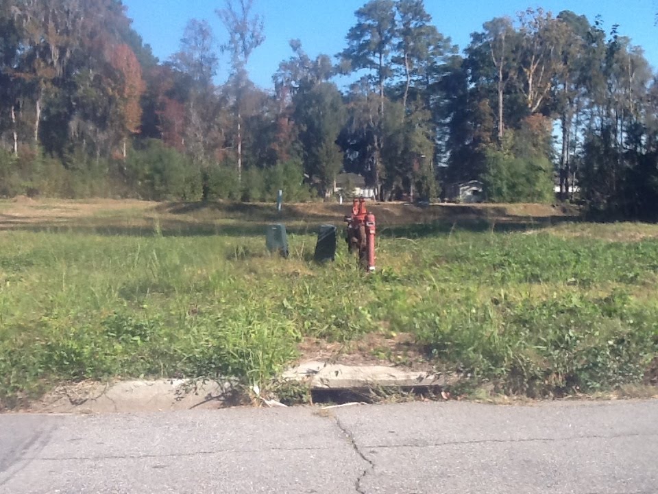 Savannah, United States