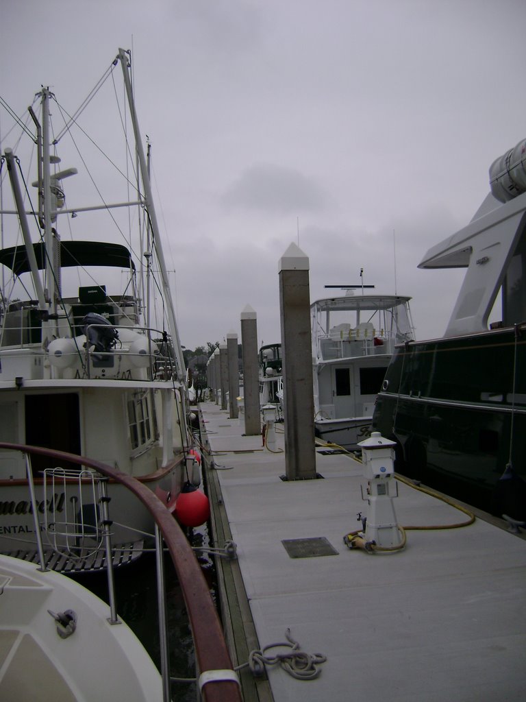 Thunderbolt Marina GA