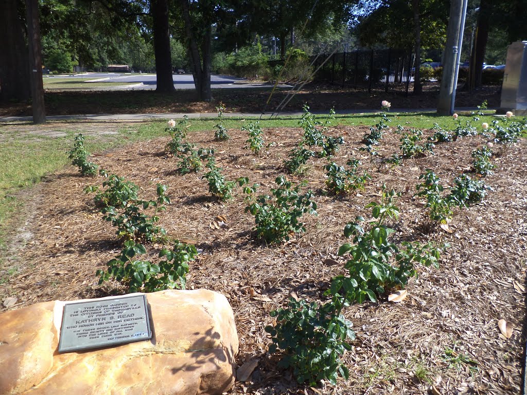 Rose Garden, Broad St., Thomasville