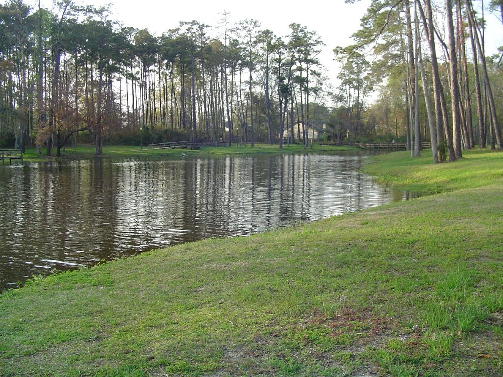 The North cove of Cherokee Lake