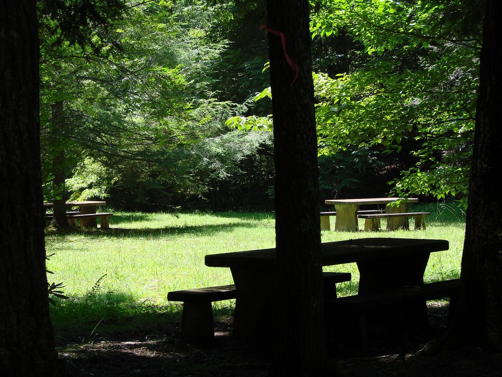 Picnic at Lyndon B. Johnson Job Corps Center ... © All Rights Reserved