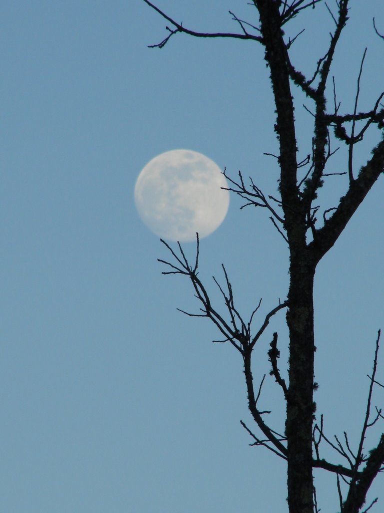 We Caught The Moon on January 9  ... © All Rights Reserved